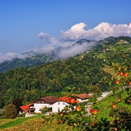 Farm Stay Pirc Laško Εξωτερικό φωτογραφία