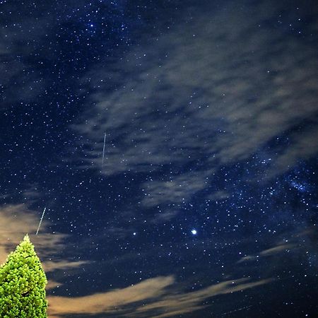 Farm Stay Pirc Laško Εξωτερικό φωτογραφία