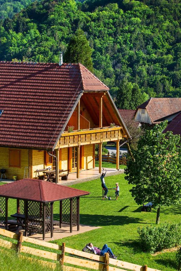 Farm Stay Pirc Laško Εξωτερικό φωτογραφία