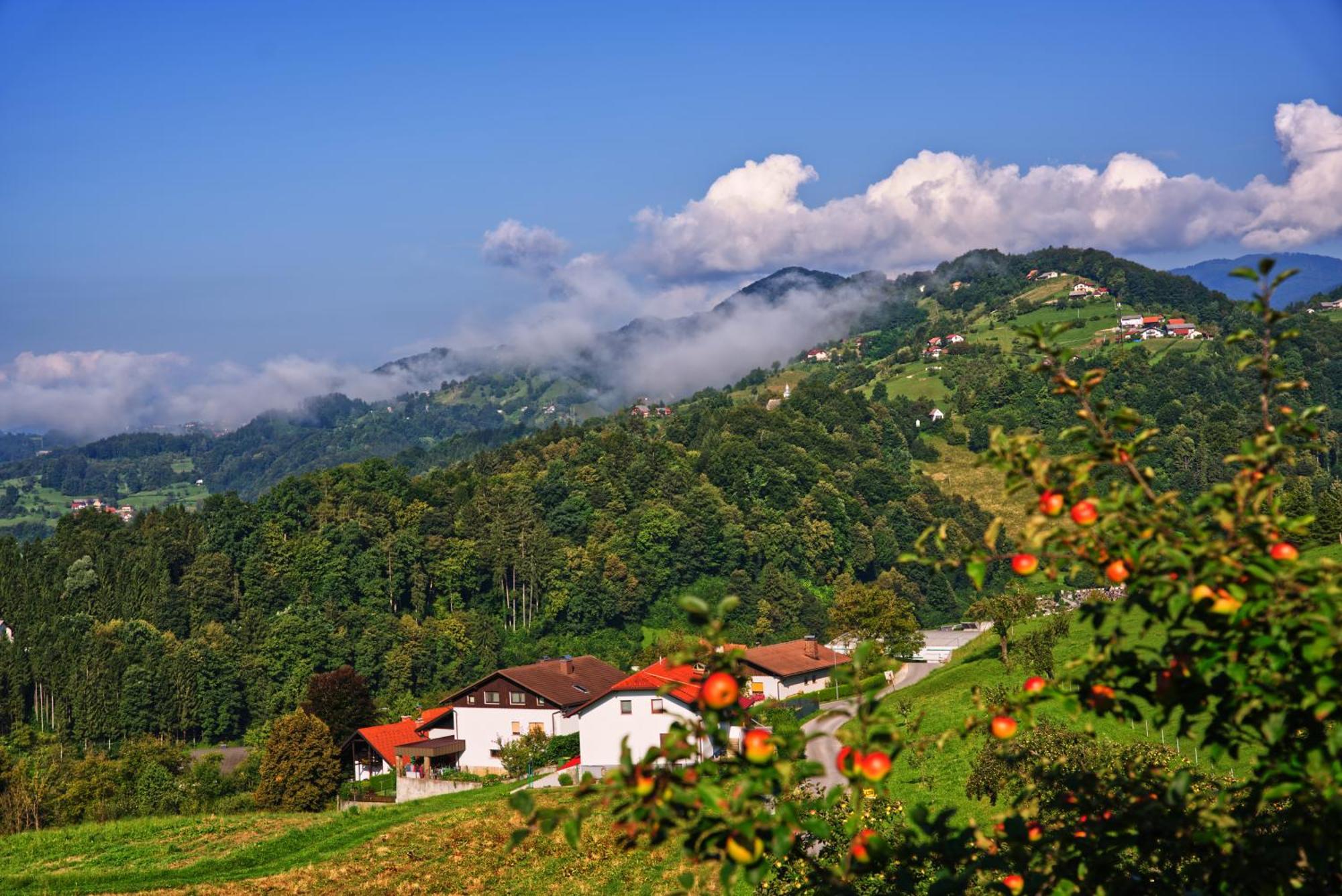 Farm Stay Pirc Laško Εξωτερικό φωτογραφία