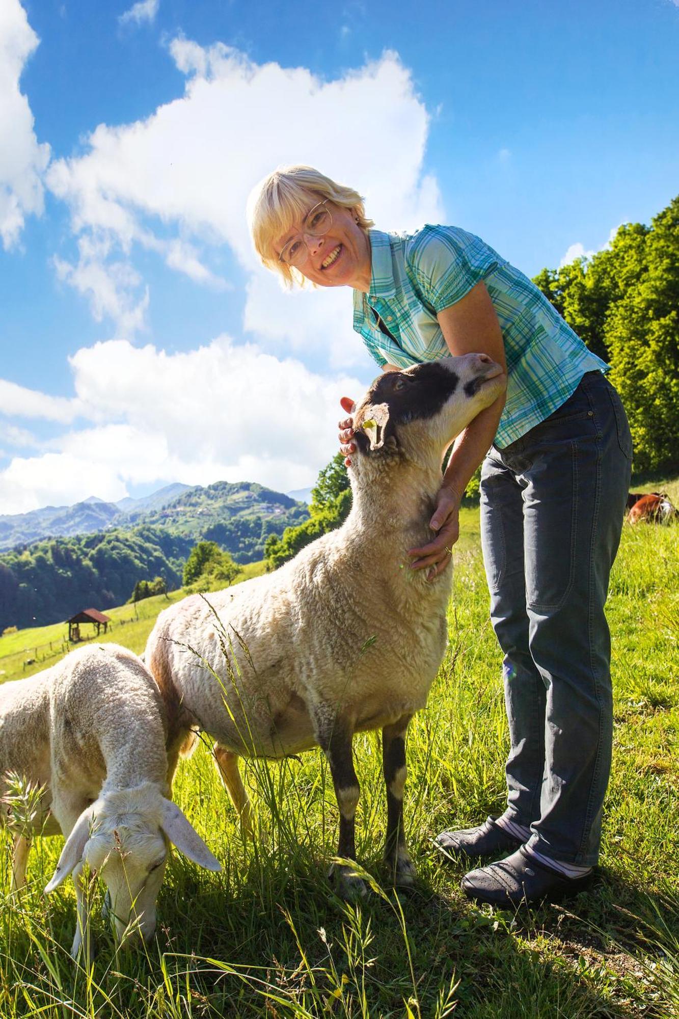Farm Stay Pirc Laško Εξωτερικό φωτογραφία