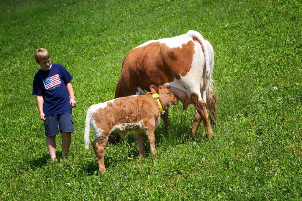 Farm Stay Pirc Laško Εξωτερικό φωτογραφία